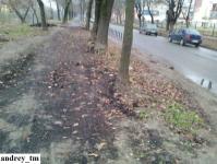 Imagine atasata: IMG_20141211_163210.jpg